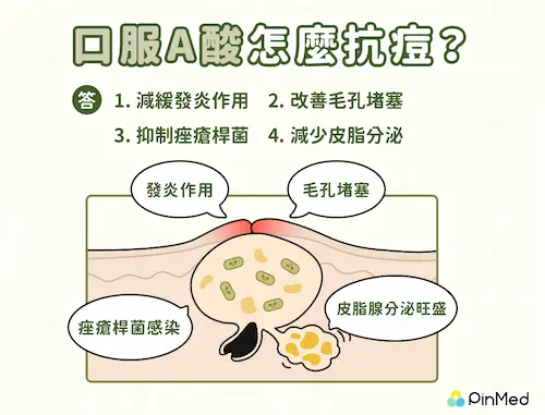 口服A酸 圖2